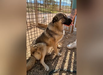 COCO❤️verspielt, sanft und voller Vertrauen: ein Herz für Groß und Klein!