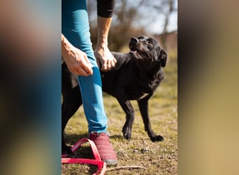 Coolio - wunderbar fröhlicher aktiver Bub