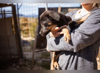 Jonas ❤️ fröhlicher + lebensfroher Schatz!
