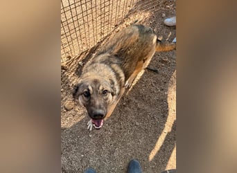 COCO❤️verspielt, sanft und voller Vertrauen: ein Herz für Groß und Klein!