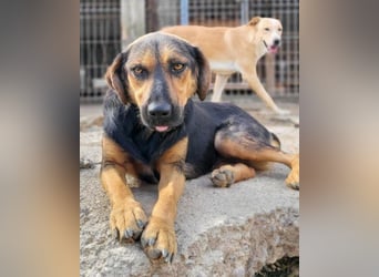 Wundervolle Aylini sucht eine Familie