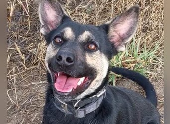 Otto ❤️ so freundlich und verträglich!