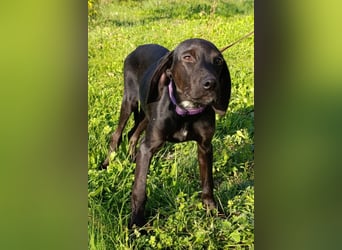 Luna ❤️ fröhliches, aktives Hundemädchen