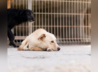 Bob wartet sehnsüchtig auf deine Anfrage