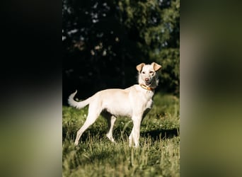 Ruhige Astrid sucht ihre Menschen