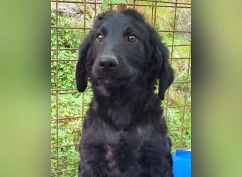 Yuki ❤️ froher, aufgeschlossener Bub!