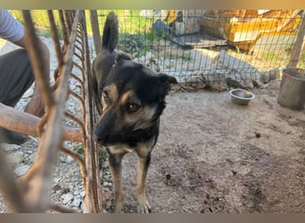 Otto ❤️ so freundlich und verträglich!