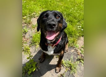 Leo ❤️ wartet in 84524 Neuötting auf dich