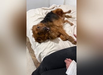 Kuschelbub Socke ❤️ lieb + sanft + so verschmust