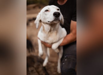 Schöner ♥ SONI ♥ möchte so sehr gerne seine Koffer hier packen