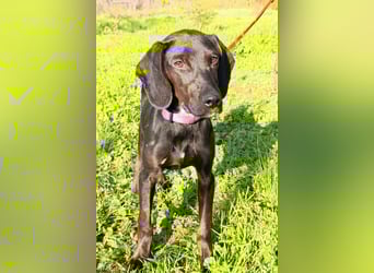 Luna ❤️ fröhliches, aktives Hundemädchen