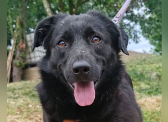 Lady Gara ♥️ freundlich, offen, verschmust