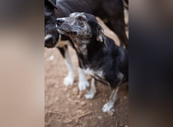 GINA❤️fröhliche, liebevolle und verspielte Flitzpiepe