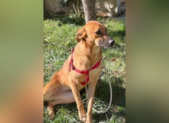 LISA❤️sanfte Seele sucht ihr Familienglück