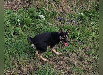 Otto ❤️ so freundlich und verträglich!