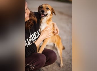 Linda & Luna -  dein Duo-Dreamteam auf 4 Pfoten