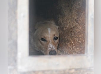Bob wartet sehnsüchtig auf deine Anfrage