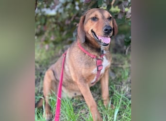 Reina in 01640 Coswig