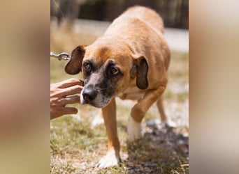 Liebste ♥Senka♥ mit einem großen Herzen