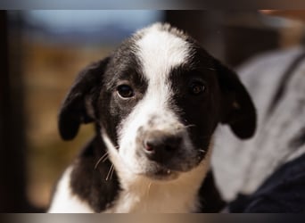 Kleine EMMY❤️ein zuckersüßes Energiebündel und voller Lebensfreude