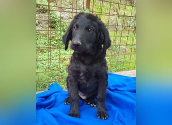 Yuki ❤️ froher, aufgeschlossener Bub!