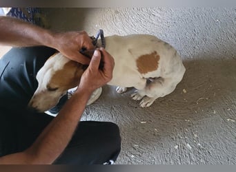Sonnenschein ♥ Sunny ♥ trotz allem so eine so treue und herzliche Seele