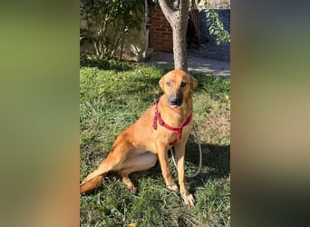 LISA❤️sanfte Seele sucht ihr Familienglück