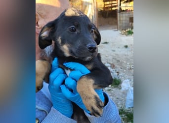 Jonas ❤️ fröhlicher + lebensfroher Schatz!