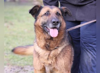 Einzelprinzessin Edna ❤️ sucht ihr Körbchen