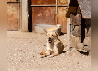 Bob wartet sehnsüchtig auf deine Anfrage