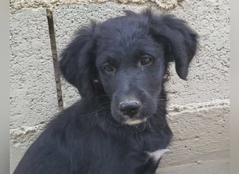 Mila ❤️ so süßes + lebensfrohes Mädchen!