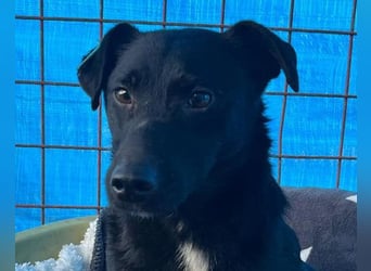 PINA❤️liebe, soziale Schönheit mit Charakter