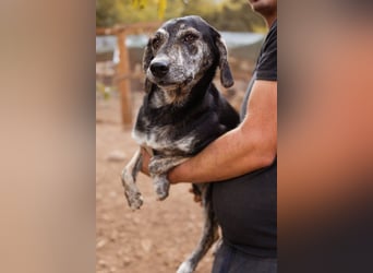 GINA❤️fröhliche, liebevolle und verspielte Flitzpiepe