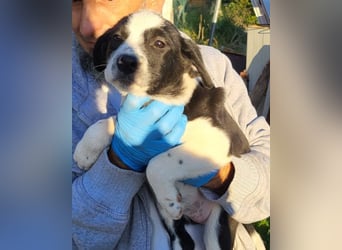 Kleine EMMY❤️ein zuckersüßes Energiebündel und voller Lebensfreude