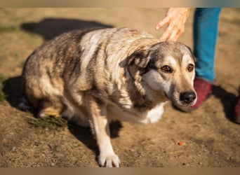 Schöne ♥Sibilla♥ sanft und freundlich