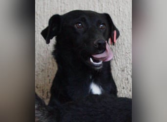 PINA❤️liebe, soziale Schönheit mit Charakter