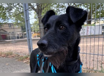 Ebony ❤️ wartet in 51469 Bergisch Gladbach auf dich
