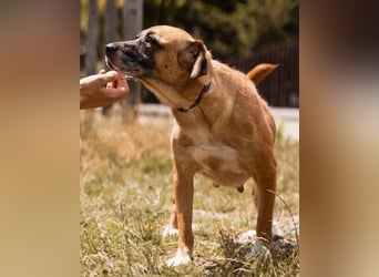 Liebste ♥Senka♥ mit einem großen Herzen