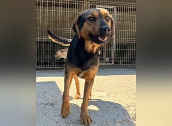 Wundervolle Aylini sucht eine Familie