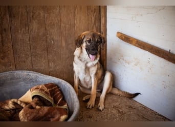 COCO❤️verspielt, sanft und voller Vertrauen: ein Herz für Groß und Klein!
