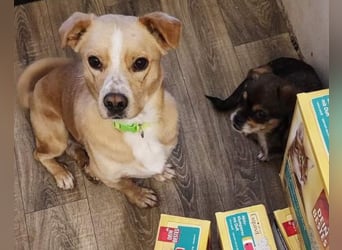 Kika & Max ❤️ gemeinsames Zuhause gesucht