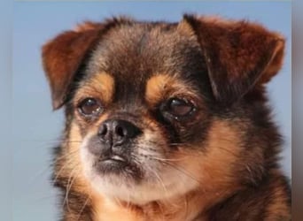 Kika & Max ❤️ gemeinsames Zuhause gesucht