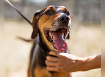 Jasco ❤️ neugierig, lebhaft & verspielt