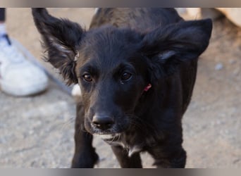 Mila ❤️ so süßes + lebensfrohes Mädchen!