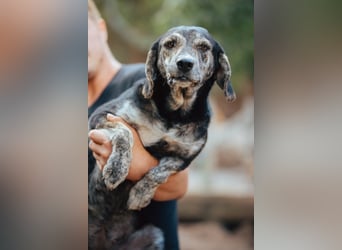 GINA❤️fröhliche, liebevolle und verspielte Flitzpiepe