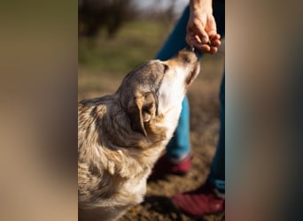 Schöne ♥Sibilla♥ sanft und freundlich