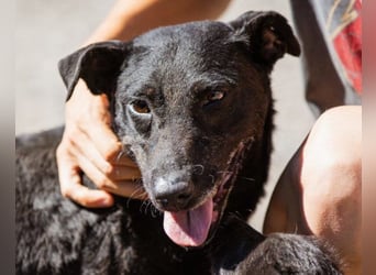 Hana - wundervolle, liebe Zuckerschnute mit einem kleinen Tick