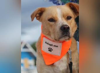 Kika & Max ❤️ gemeinsames Zuhause gesucht