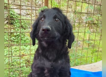 Yuki ❤️ froher, aufgeschlossener Bub!