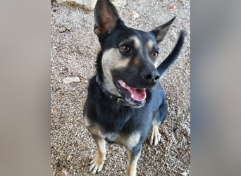 Otto ❤️ so freundlich und verträglich!